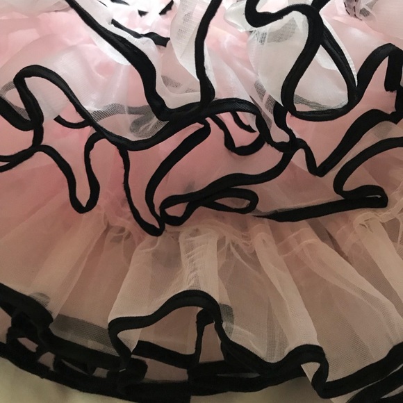 Beautiful Pink & Black Crinoline - Picture 2 of 3